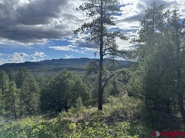 70 Rocky Ridge 1 Pagosa Springs CO 81147