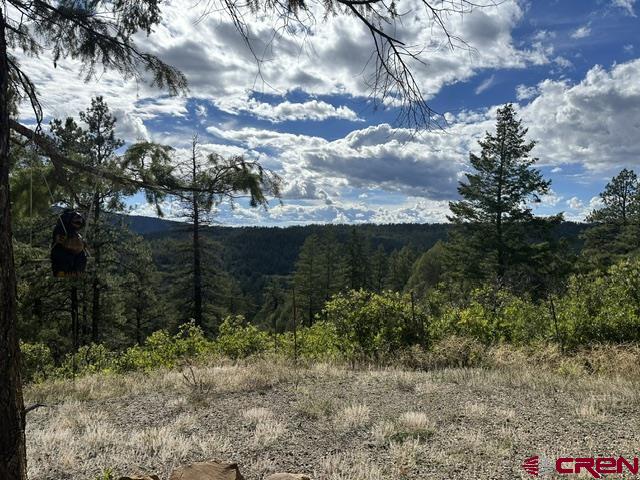 70 Rocky Ridge 1 Pagosa Springs CO 81147
