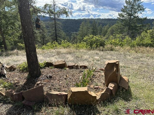 70 Rocky Ridge 1 Pagosa Springs CO 81147