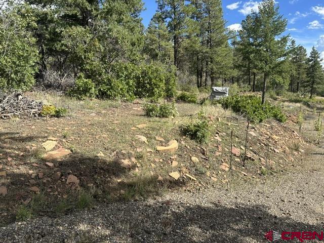 70 Rocky Ridge 1 Pagosa Springs CO 81147