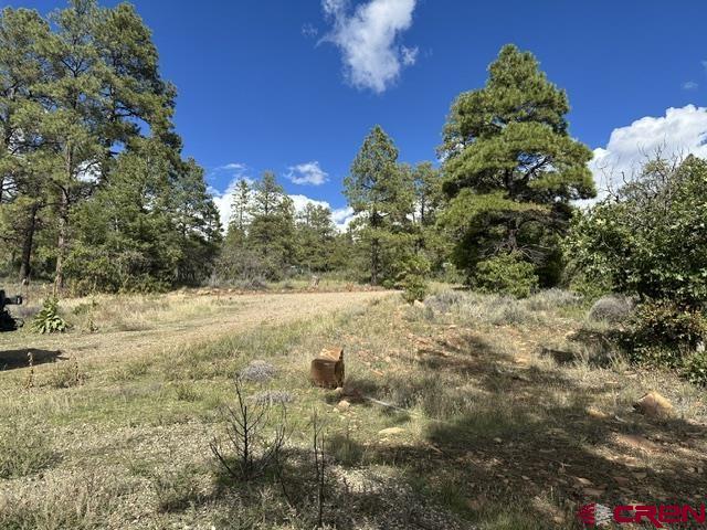 70 Rocky Ridge 1 Pagosa Springs CO 81147