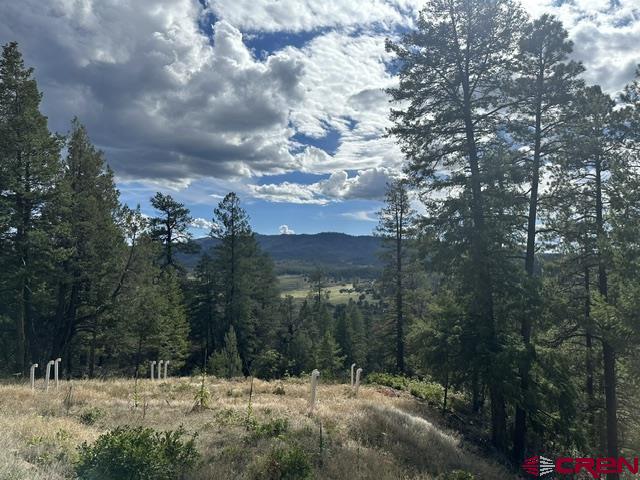 70 Rocky Ridge 1 Pagosa Springs CO 81147