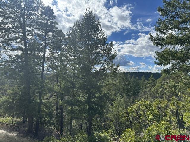 70 Rocky Ridge 1 Pagosa Springs CO 81147