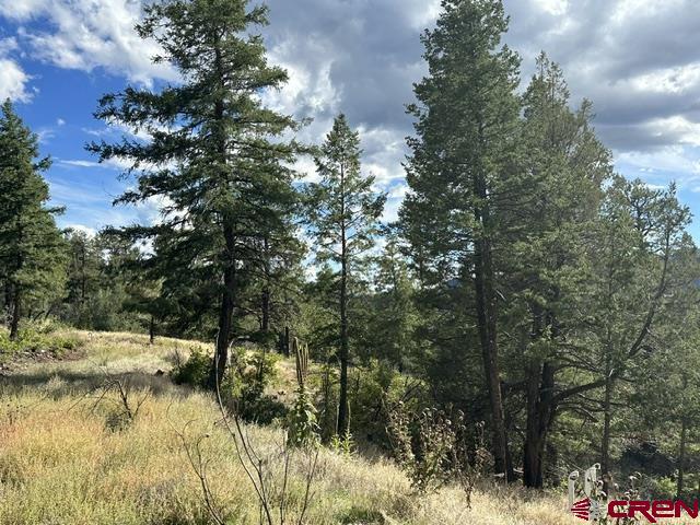 70 Rocky Ridge 1 Pagosa Springs CO 81147