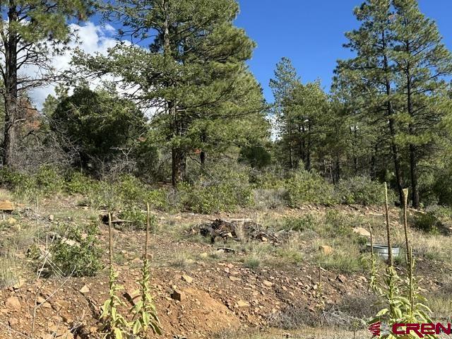70 Rocky Ridge 1 Pagosa Springs CO 81147