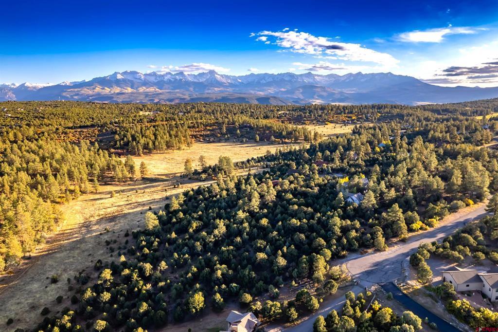 206 Woodchuck Place Ridgway CO 81432