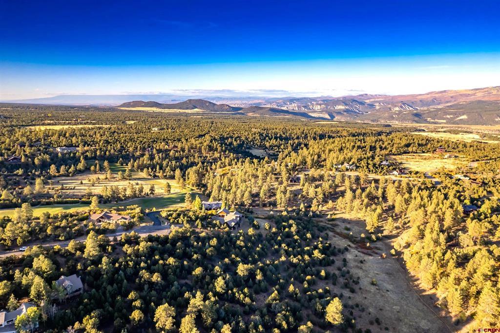 206 Woodchuck Place Ridgway CO 81432