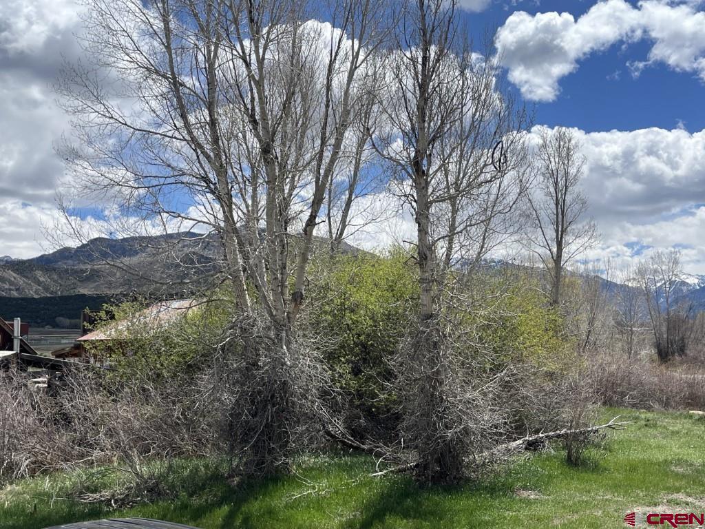 180 Liddell Drive Ridgway CO 81432