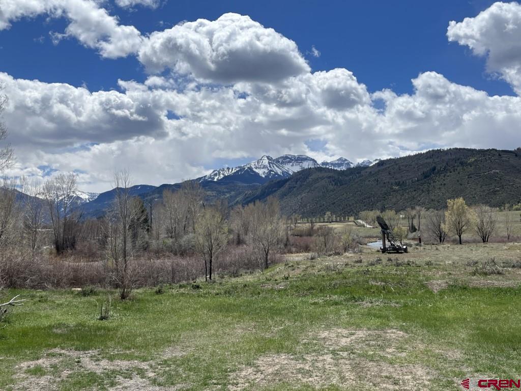 180 Liddell Drive Ridgway CO 81432