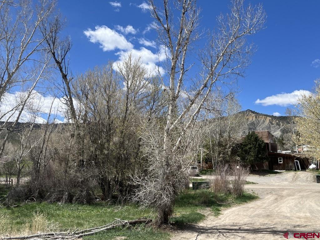 180 Liddell Drive Ridgway CO 81432