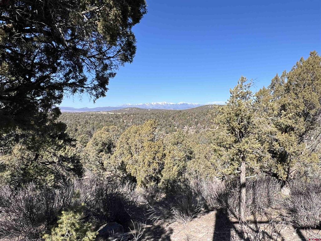 7371 County Road 310 Ignacio CO 81137