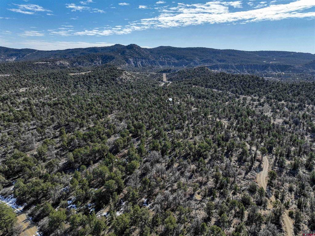 7371 County Road 310 Ignacio CO 81137