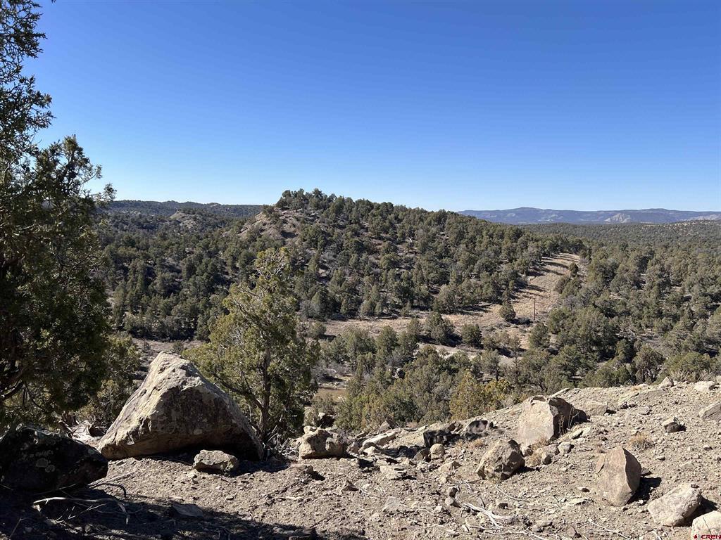 7371 County Road 310 Ignacio CO 81137