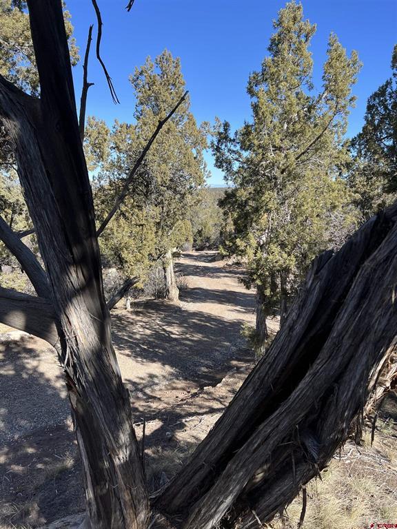 7371 County Road 310 Ignacio CO 81137