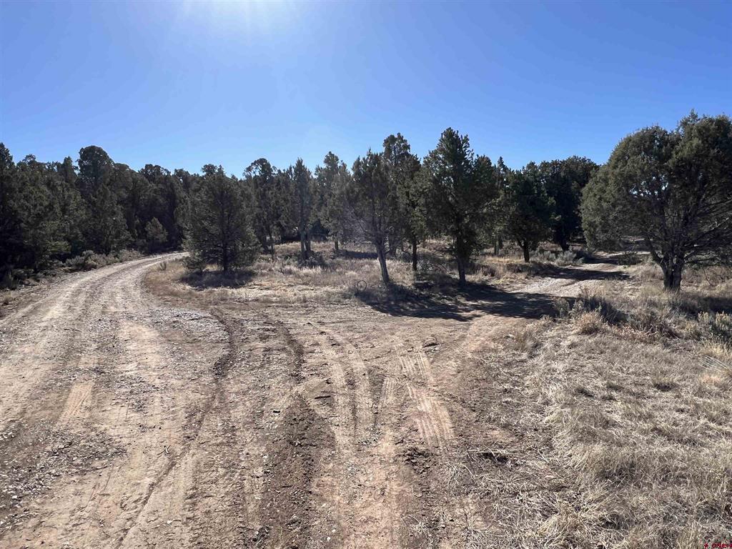 7371 County Road 310 Ignacio CO 81137