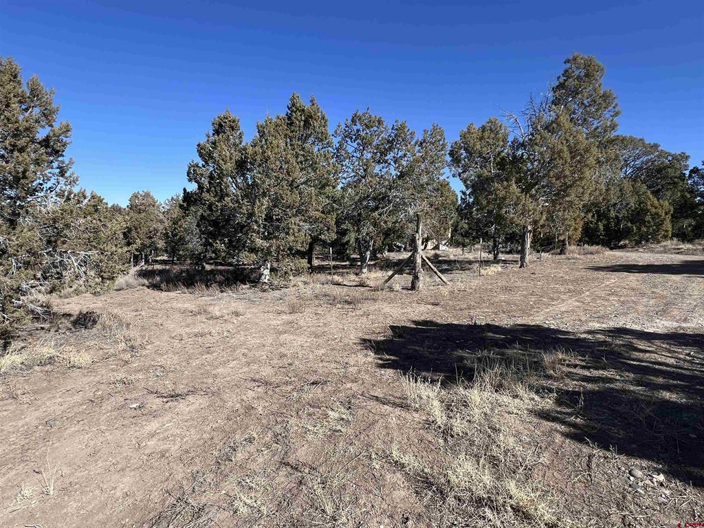 7371 County Road 310 Ignacio CO 81137