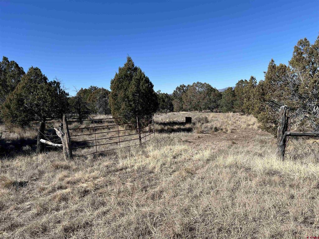 7371 County Road 310 Ignacio CO 81137