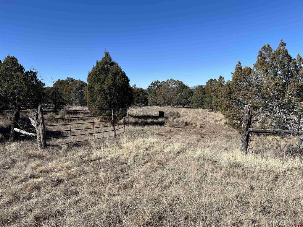 7371 County Road 310 Ignacio CO 81137