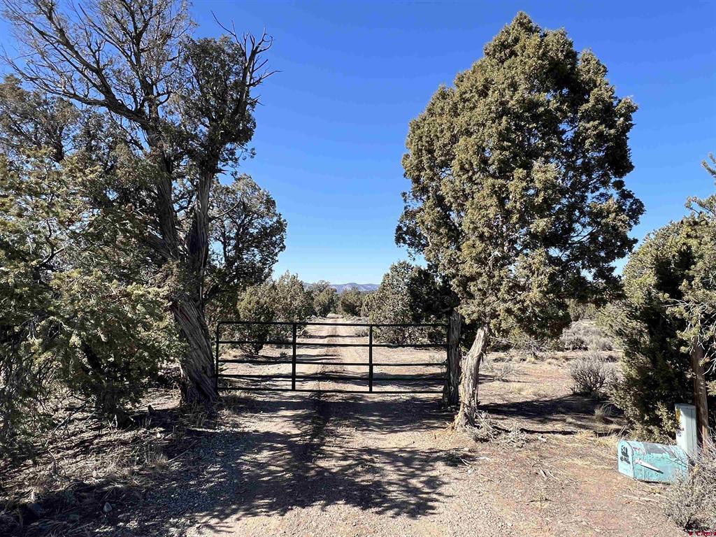 7371 County Road 310 Ignacio CO 81137