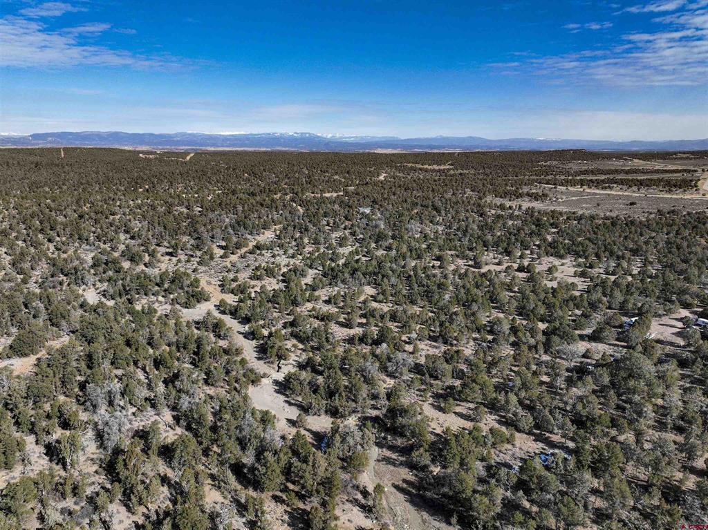 7371 County Road 310 Ignacio CO 81137