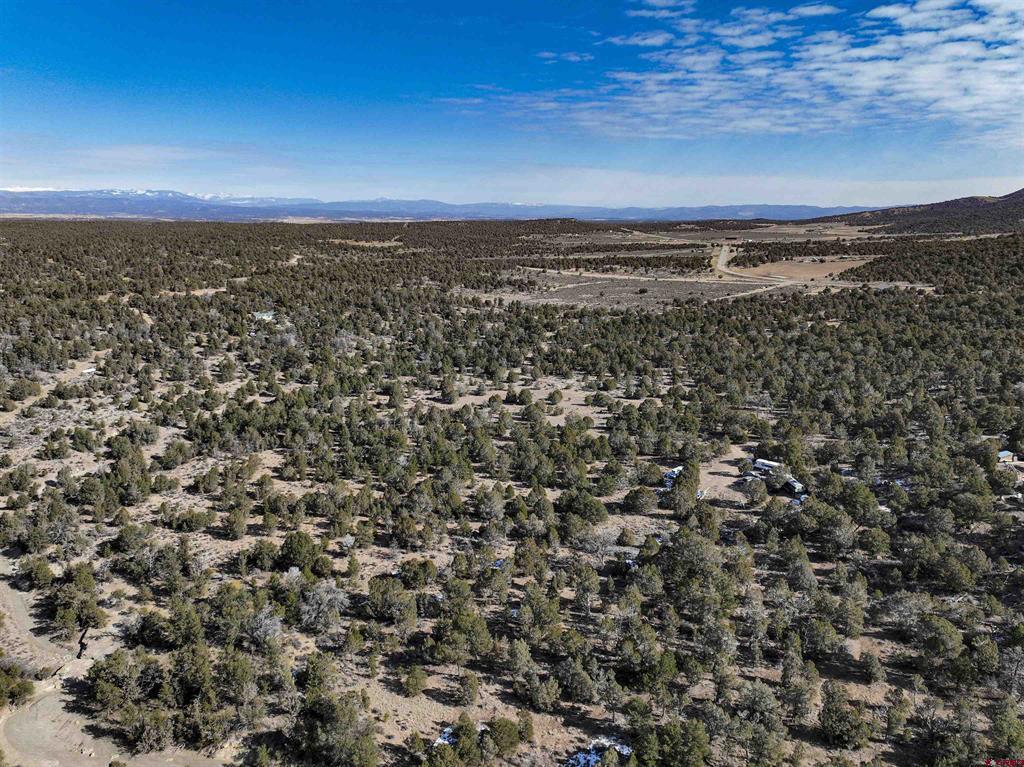 7371 County Road 310 Ignacio CO 81137