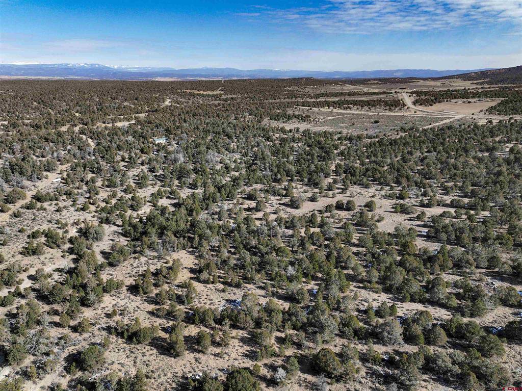 7371 County Road 310 Ignacio CO 81137