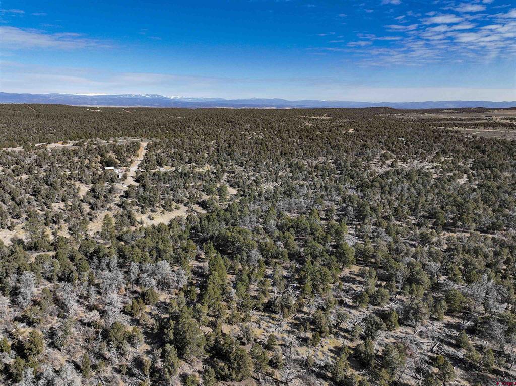 7371 County Road 310 Ignacio CO 81137