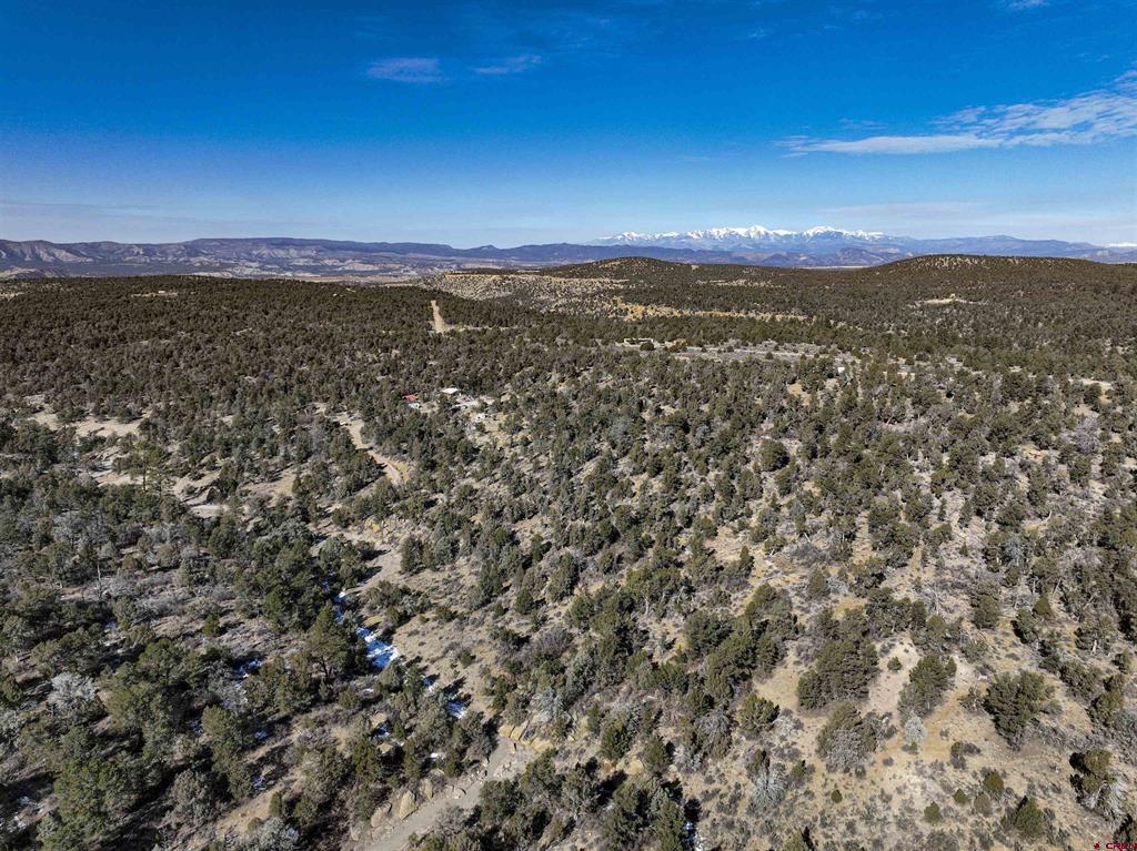 7371 County Road 310 Ignacio CO 81137
