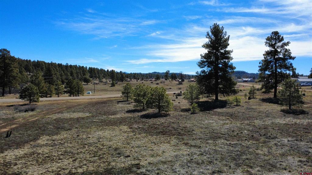 37 Arroyo Court Pagosa Springs CO 81147