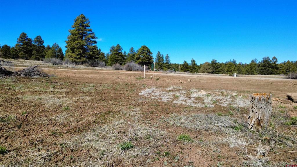 37 Arroyo Court Pagosa Springs CO 81147
