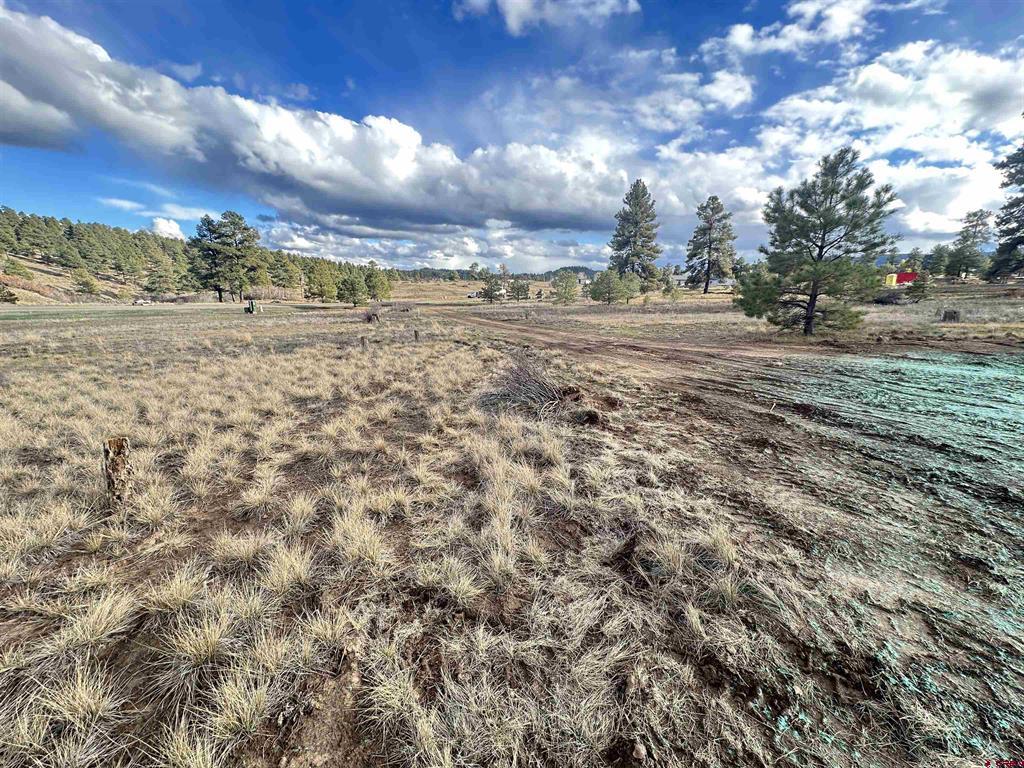 37 Arroyo Court Pagosa Springs CO 81147