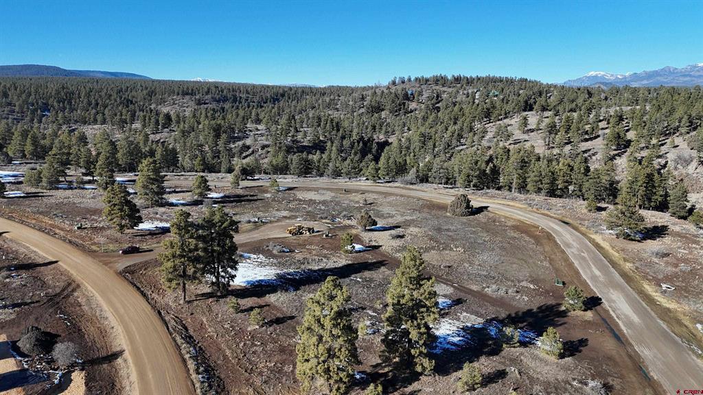 37 Arroyo Court Pagosa Springs CO 81147