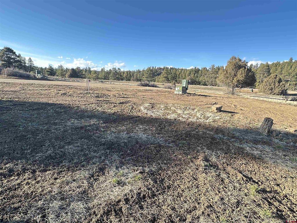 37 Arroyo Court Pagosa Springs CO 81147