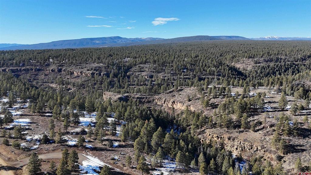 37 Arroyo Court Pagosa Springs CO 81147