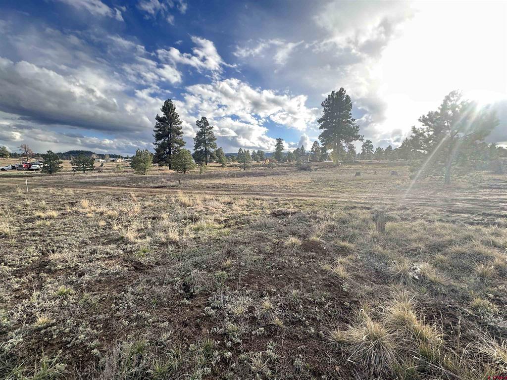 37 Arroyo Court Pagosa Springs CO 81147