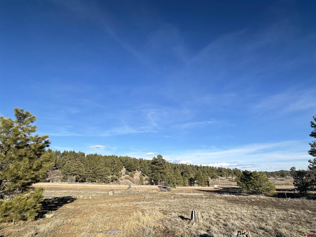 37 Arroyo Court Pagosa Springs CO 81147