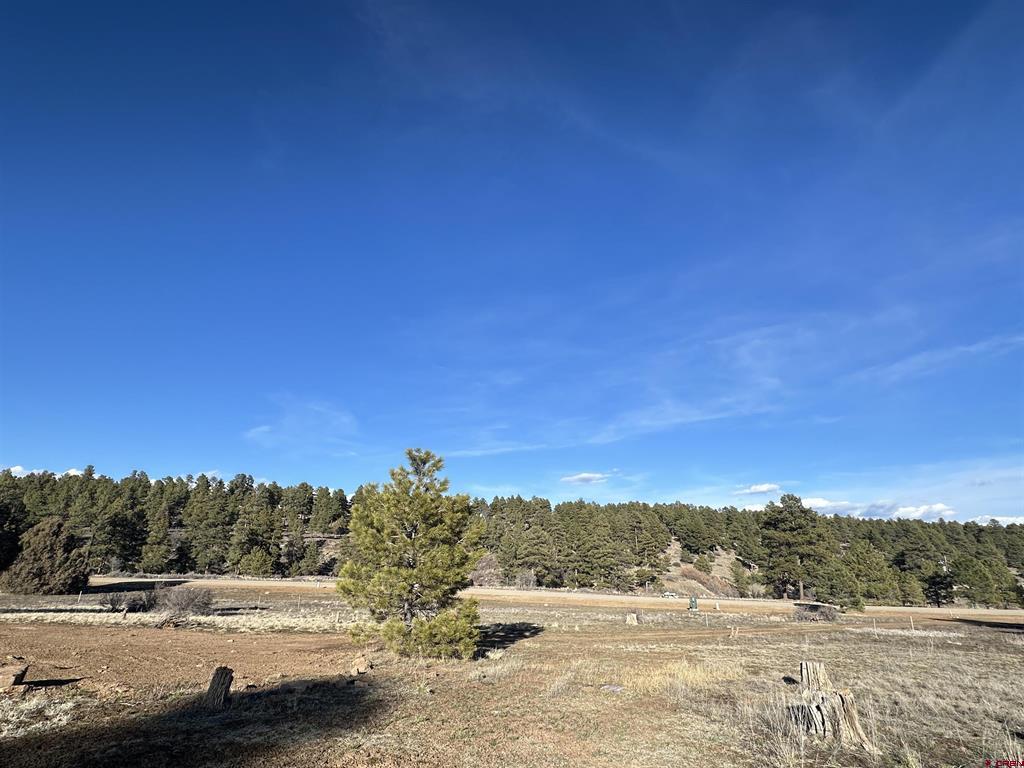 37 Arroyo Court Pagosa Springs CO 81147
