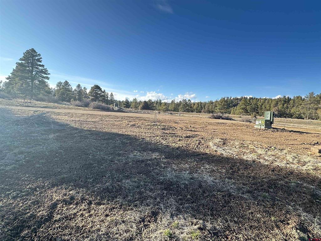 37 Arroyo Court Pagosa Springs CO 81147