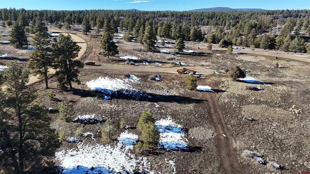 37 Arroyo Court Pagosa Springs CO 81147