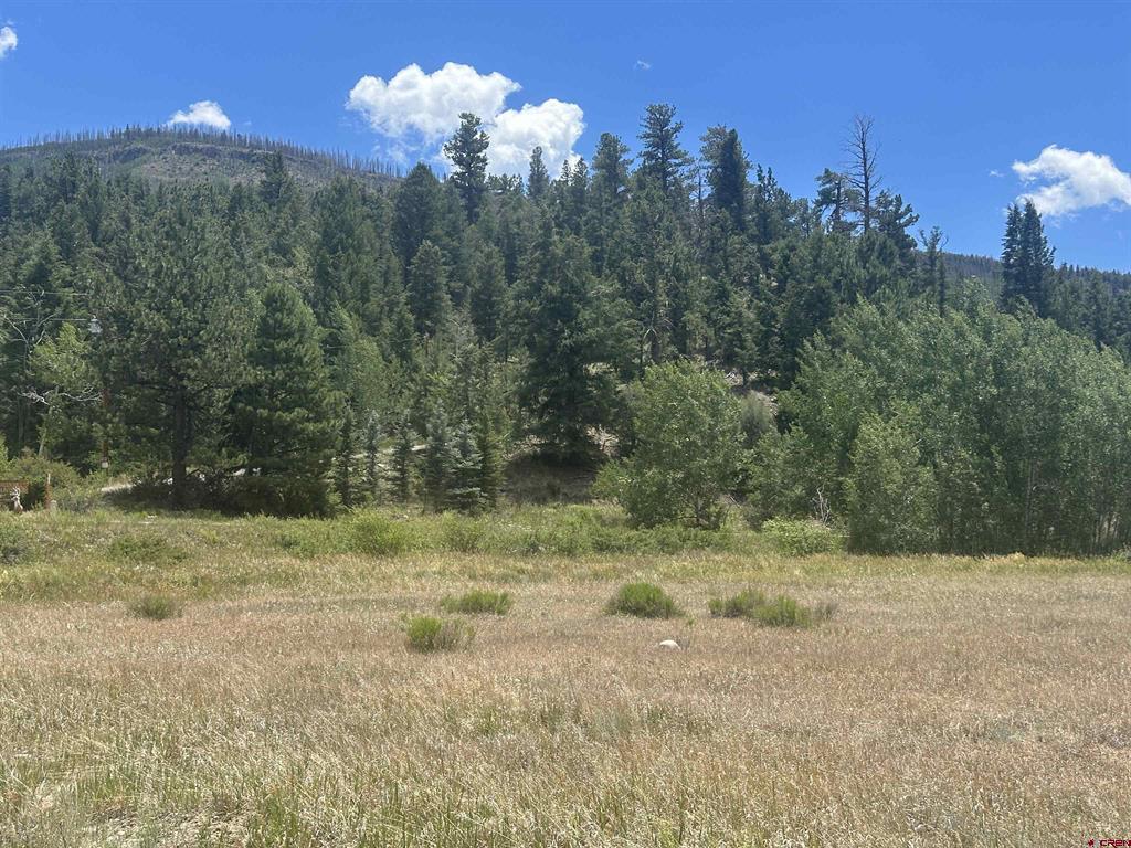 26 Mill Creek Lane South Fork CO 81154