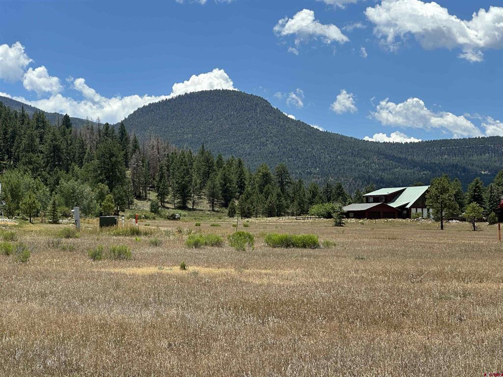 26 Mill Creek Lane South Fork CO 81154