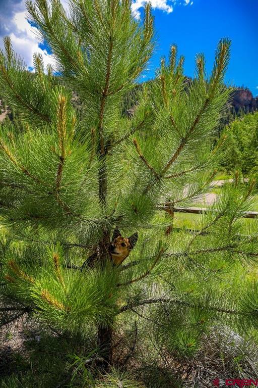 Lot 3 N Ridge Court Antonito CO 81120