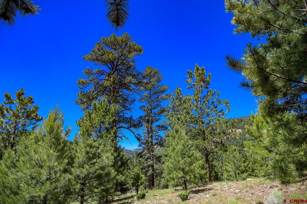 Lot 3 N Ridge Court Antonito CO 81120