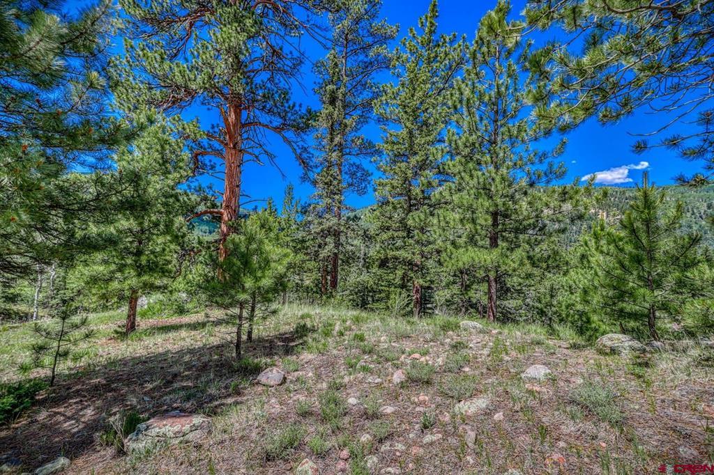 Lot 3 N Ridge Court Antonito CO 81120