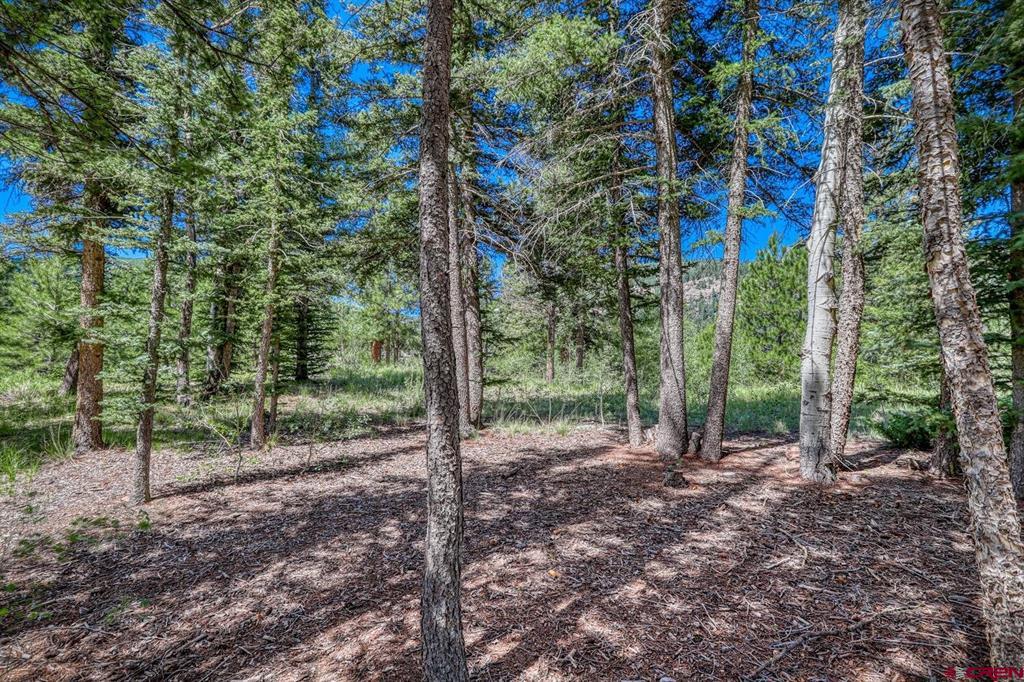 Lot 3 N Ridge Court Antonito CO 81120