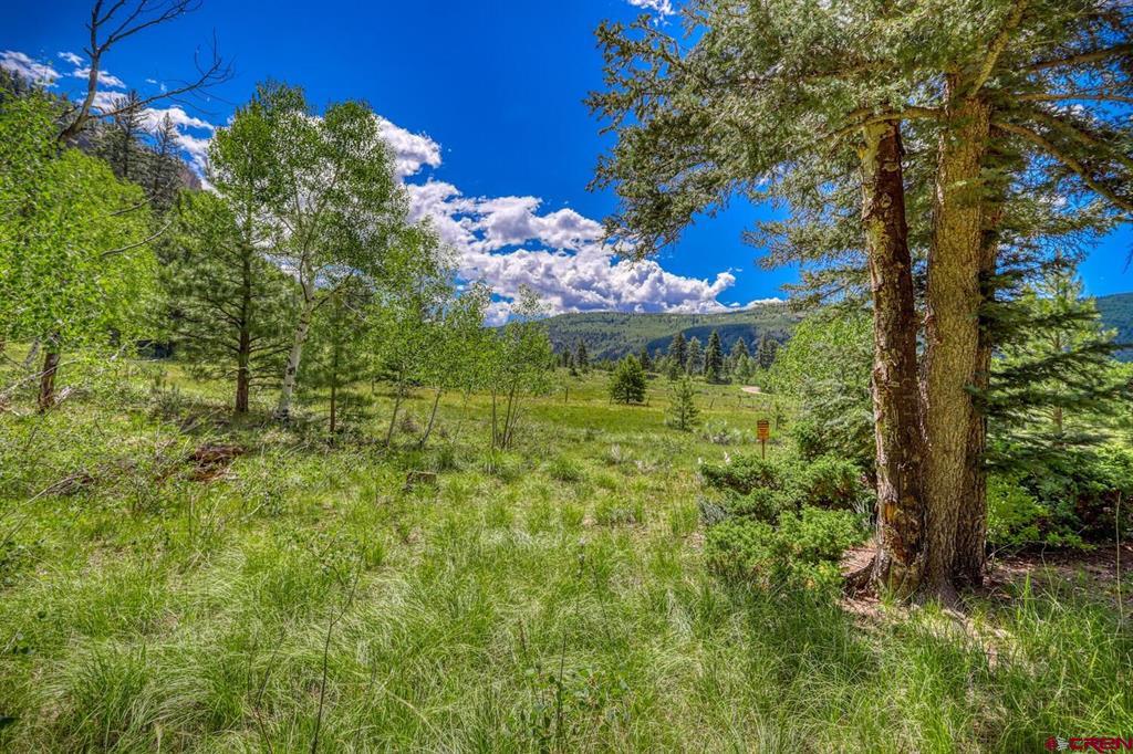 Lot 3 N Ridge Court Antonito CO 81120