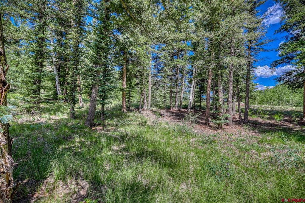 Lot 3 N Ridge Court Antonito CO 81120