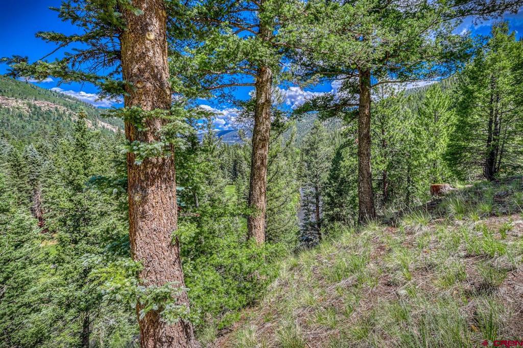 Lot 3 N Ridge Court Antonito CO 81120