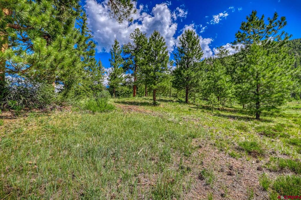 Lot 3 N Ridge Court Antonito CO 81120