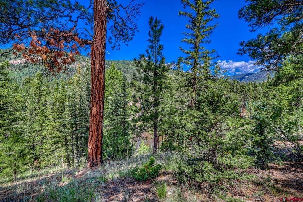 Lot 3 N Ridge Court Antonito CO 81120